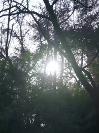 Moglie forte, identità di papà si rivela - Episode 6