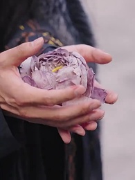 第53集 - 鳳鳴重樓