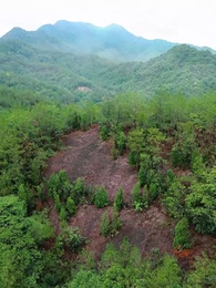 Tập 1 - Ma Tôn Tối Cao
