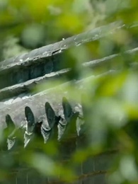 Episode 41 - My Baby Daddy's a Lord Now?!