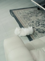 Episode 19 - Aku Nyesal Buat Mereka Sedih