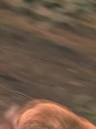 Épisode 18 - Parents à double face