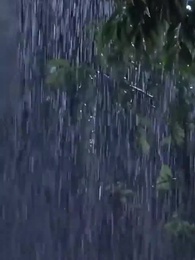 Paga com Dor - Episode 24