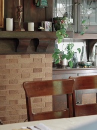 Forbidden Desire：My Mated Stripper - Episode 28