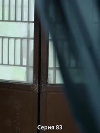 Серия 83 - Княгиня-лекарь с ядом