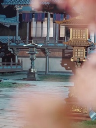 十年一夢，可見卿否 - Episode 35