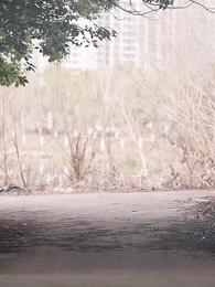 第41集 - 等風等雲初