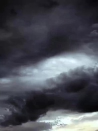 Mi Padre Sabio - Episode 42