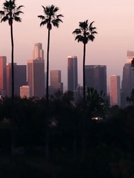 Episode 34 - The best of youth