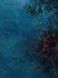 Der Dunkle Lord - Episode 7