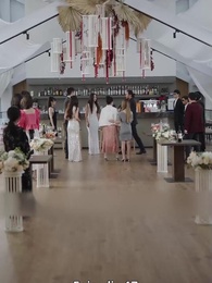 Episodio 17 -  Senza un Centesimo, Sono l'Erede della Ricchezza Globale