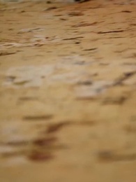 第21話 - 誰も知らない、私の夜