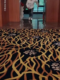 第9集 - 我的孩子只能姓李