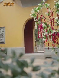 第4話 - 名もなき花〜玉座に咲く〜