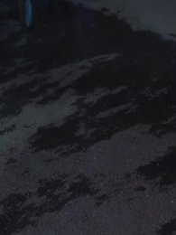 31화 - 출근 대신 결혼