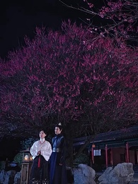 曾是驚鴻照影來 - Episode 36