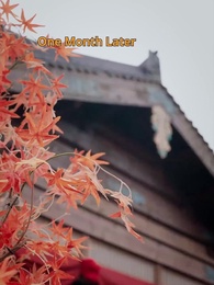 The Prince's Prodigy Pack - Episode 21