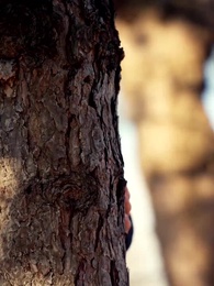 Episodio 34 - Tra Le Sue Braccia