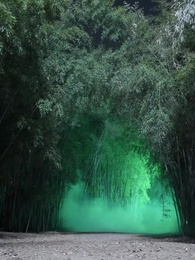 Épisode 46 - Parents à double face