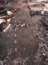 Episode 1 - Terjebak Dalam Kebohongan