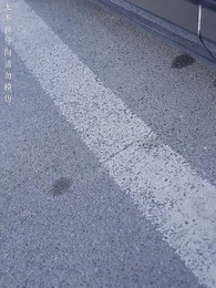 第30集 - 言為心聲