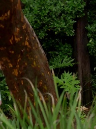 Una Notte, un Matrimonio, un Alfa - Episode 33