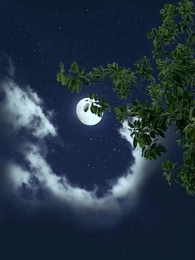 Episodio 8 - Amore del Signore Oscuro