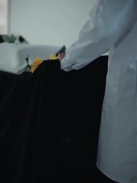 Episode 2 - Camellia at Dusk