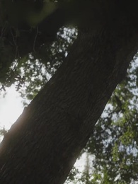 Wenn die Diebin den Alpha will - Episode 2