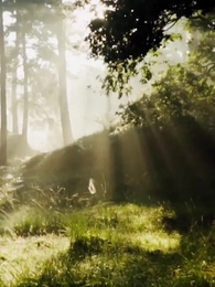 Episode 38 - Love at First Blind