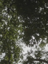 Wenn die Diebin den Alpha will - Episode 69