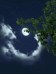 無上魔尊 - Episode 8