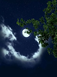 Maître des Démons Invincible - Episode 8