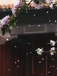 Episode 4 - No Regrets in the Palace