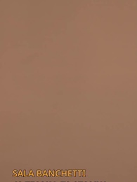 La Doppia Vita del Mio Marito CEO - Episode 90