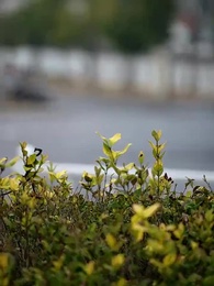 天賜萌孫乖乖受寵 - Episode 57