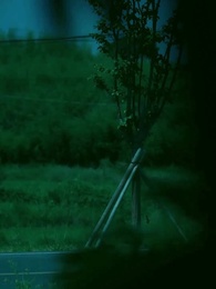 Episode 54 - Anak Bungsu Keluarga Konglomerat