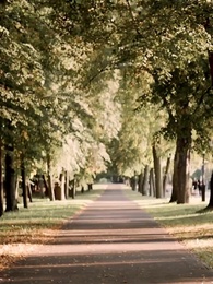 Episodio 36 - Tra Le Sue Braccia