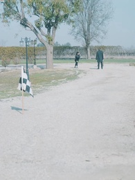 Episode 38 - The Alpha's Gifted Luna