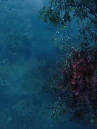 Episodio 7 - Amore del Signore Oscuro