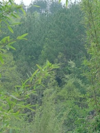 พันธนากรแห่งรัก - Episode 26