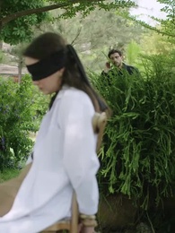 Episode 27 - The Billionaire's Secret Son