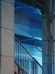 Episode 58 - Buah Cinta Semalam Sang Presdir