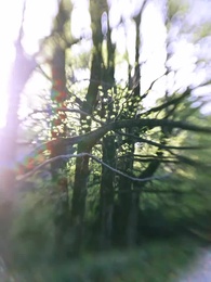 Episode 2 - The Billionaire's Secret Son