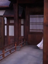 The Phoenix Rising - Episode 26