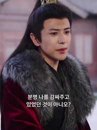 29화 - 날아오른 붕황