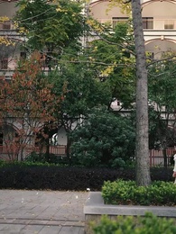 Reinkarnasi Nenek - Episode 15