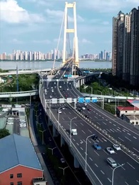 The Fox's Scheme - Episode 2