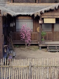 ตอนที่ 43 - ข้ามเวลามาเป็นหม้ายรัก