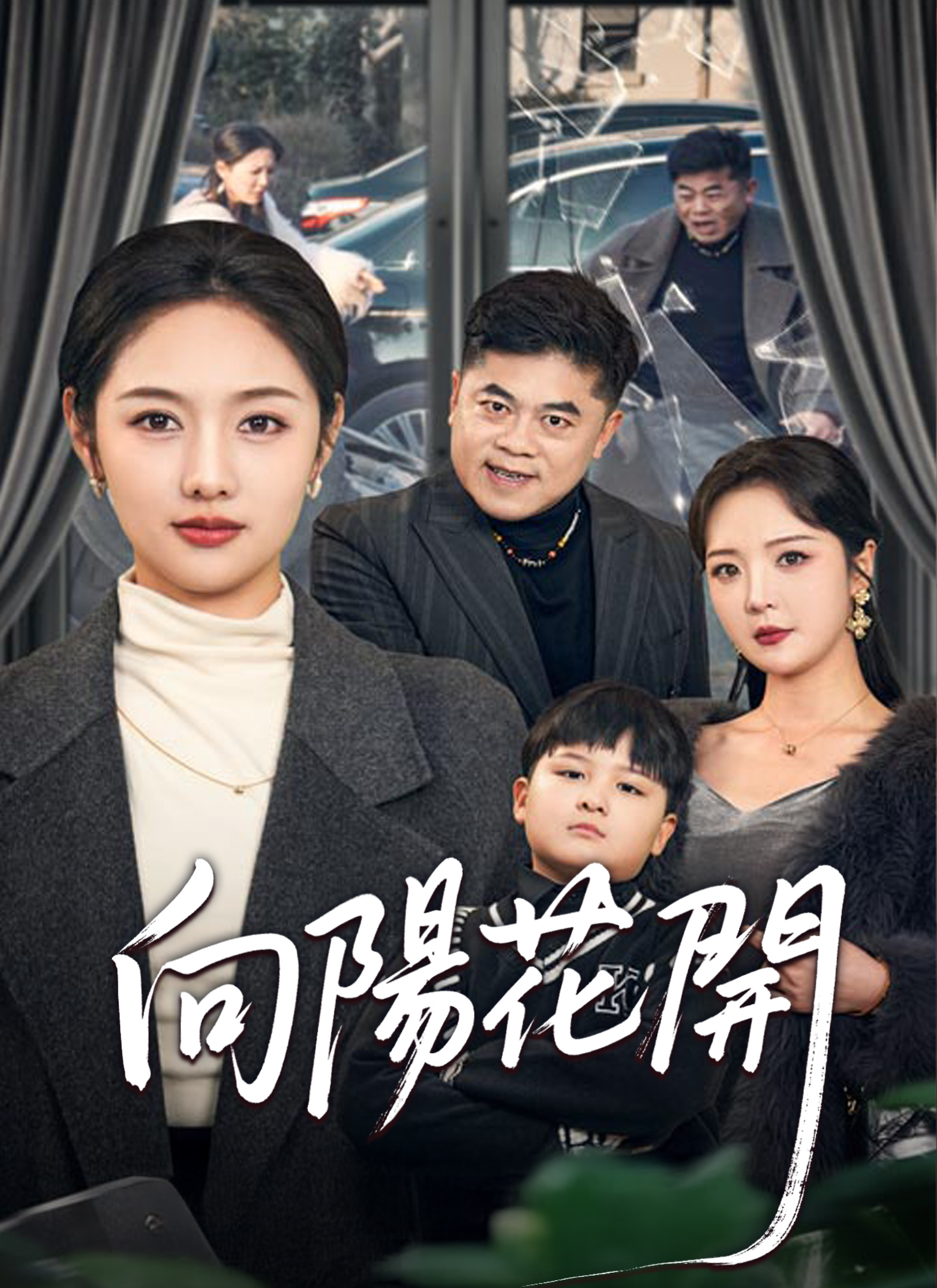 《向陽花開》封面